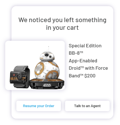 Support During Purchase 