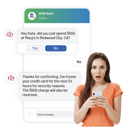 Fraud Alerts